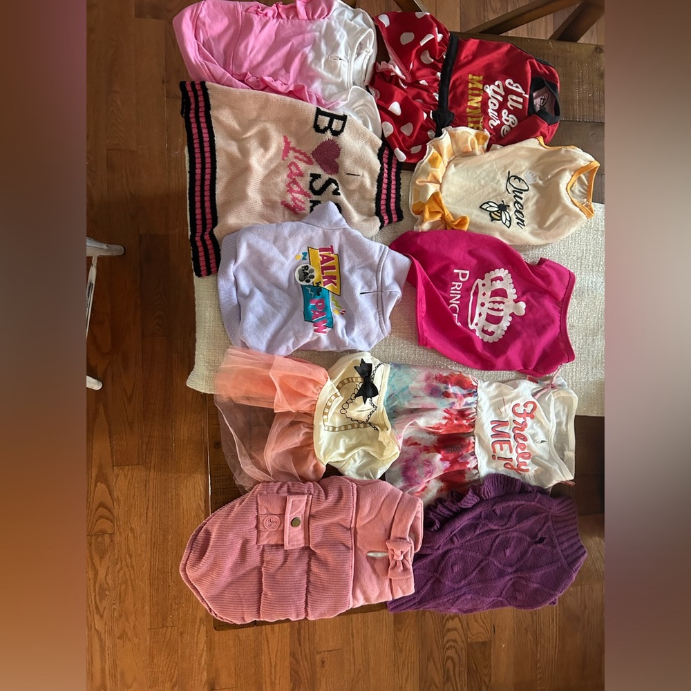 Dog clothes